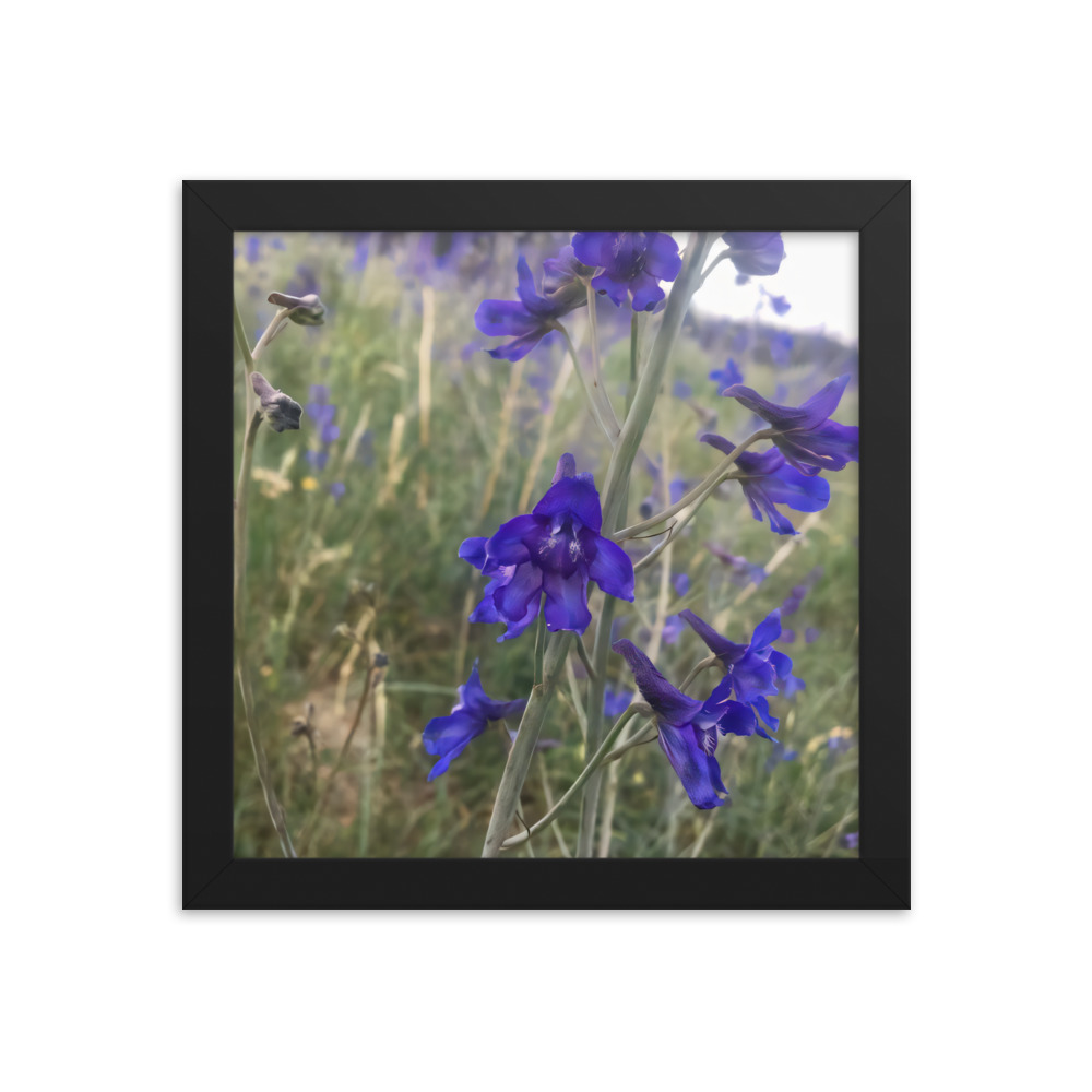 premium-luster-photo-paper-framed-poster-in-black-10x10-transparent-65c2e820c0813.jpg