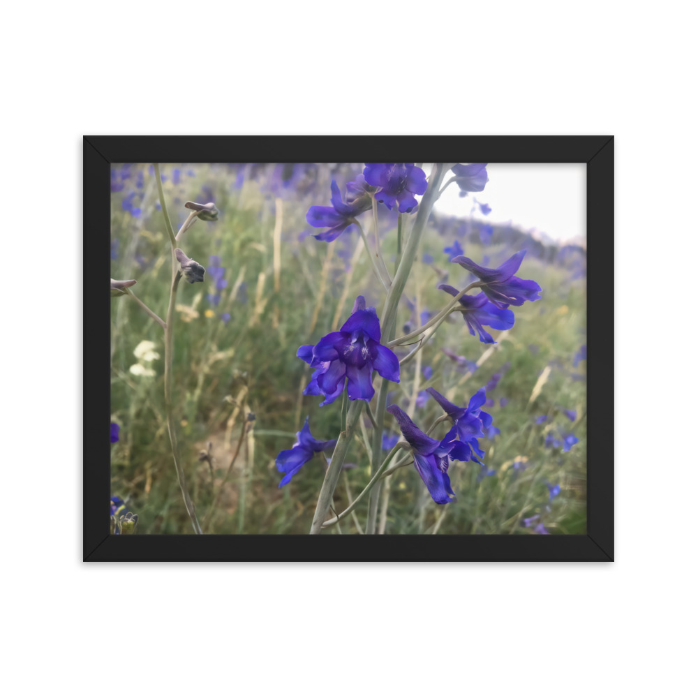 premium-luster-photo-paper-framed-poster-in-black-11x14-transparent-65c2e820c0910.jpg