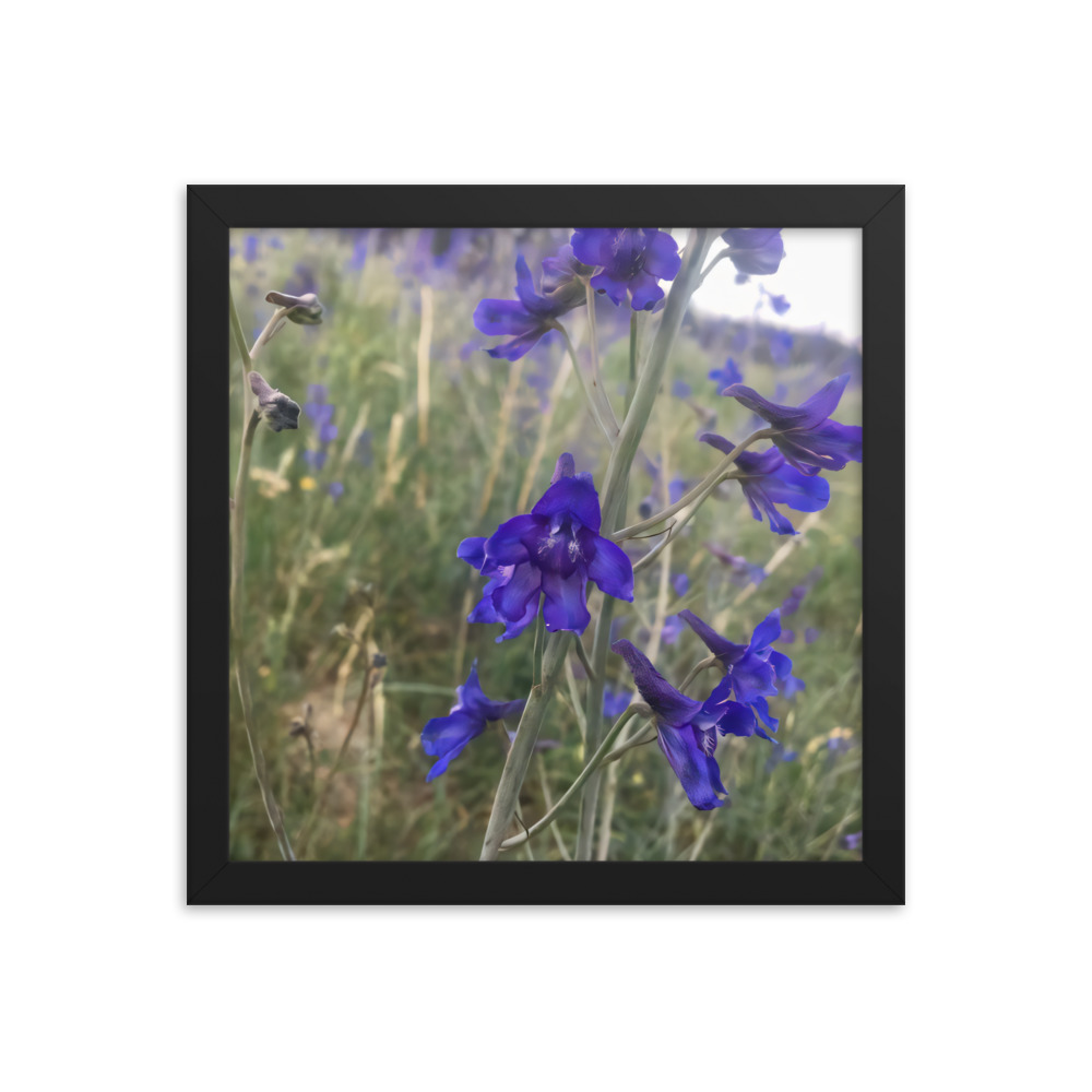premium-luster-photo-paper-framed-poster-in-black-12x12-transparent-65c2e820c08a2.jpg
