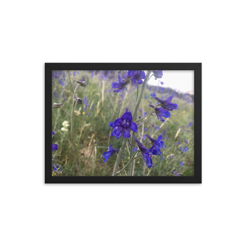 premium-luster-photo-paper-framed-poster-in-black-12x16-transparent-65c2e820c098d.jpg