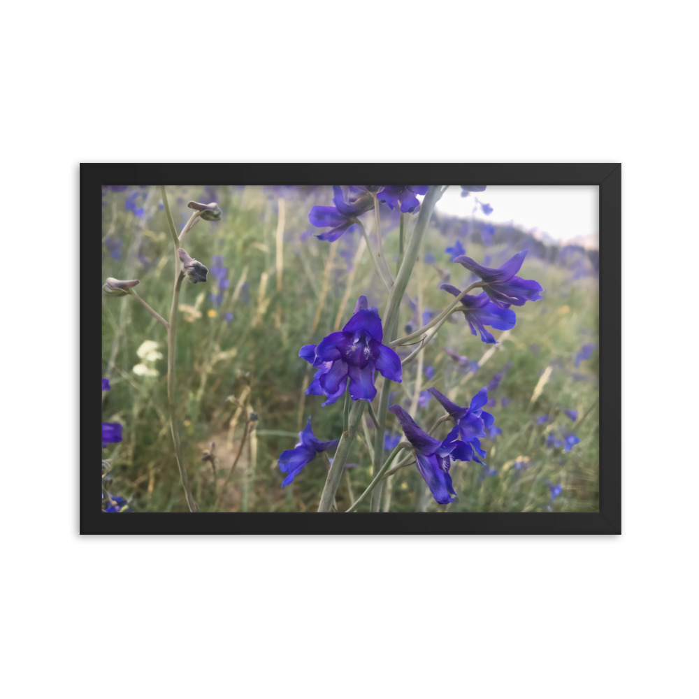 premium-luster-photo-paper-framed-poster-in-black-12x18-transparent-65c2e820c09f5.jpg
