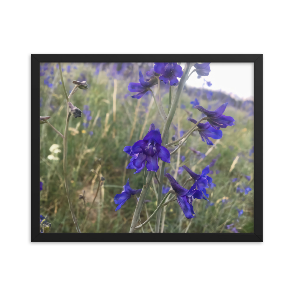 premium-luster-photo-paper-framed-poster-in-black-16x20-transparent-65c2e820c0b2a.jpg
