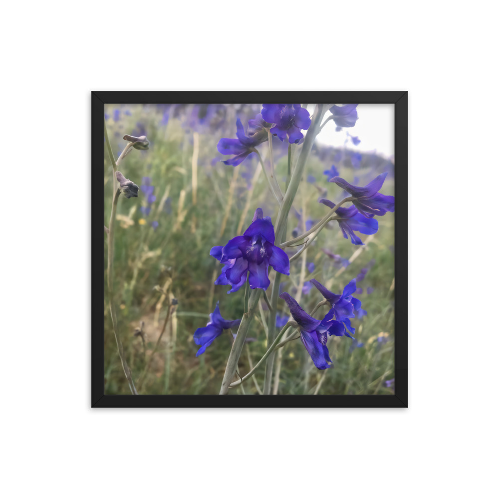 premium-luster-photo-paper-framed-poster-in-black-18x18-transparent-65c2e820c0b96.jpg