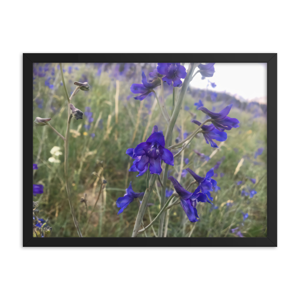 premium-luster-photo-paper-framed-poster-in-black-18x24-transparent-65c2e820c0bfe.jpg
