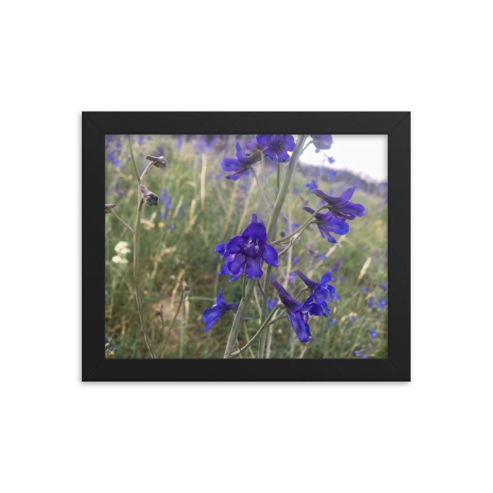 premium-luster-photo-paper-framed-poster-in-black-8x10-transparent-65c2e820bf464.jpg