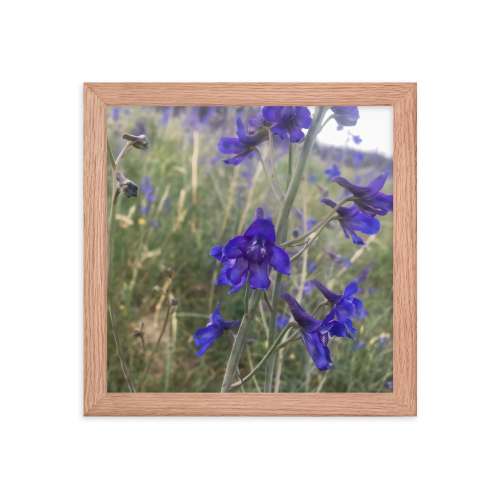 premium-luster-photo-paper-framed-poster-in-red-oak-10x10-transparent-65c2e820c0d3d.jpg
