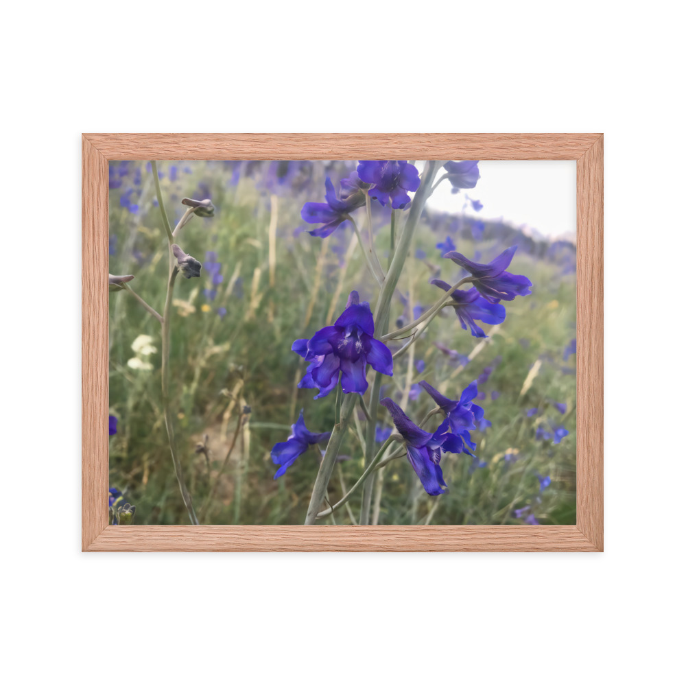 premium-luster-photo-paper-framed-poster-in-red-oak-11x14-transparent-65c2e820c0e08.jpg