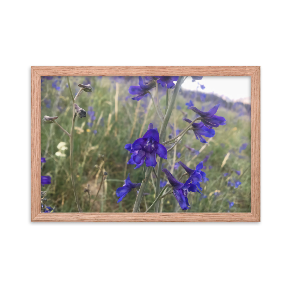 premium-luster-photo-paper-framed-poster-in-red-oak-12x18-transparent-65c2e820c0ecd.jpg