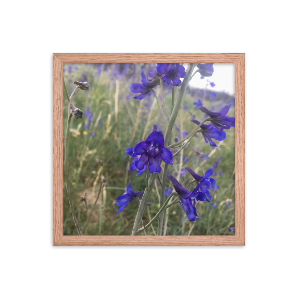 premium-luster-photo-paper-framed-poster-in-red-oak-14x14-transparent-65c2e820c0f30.jpg