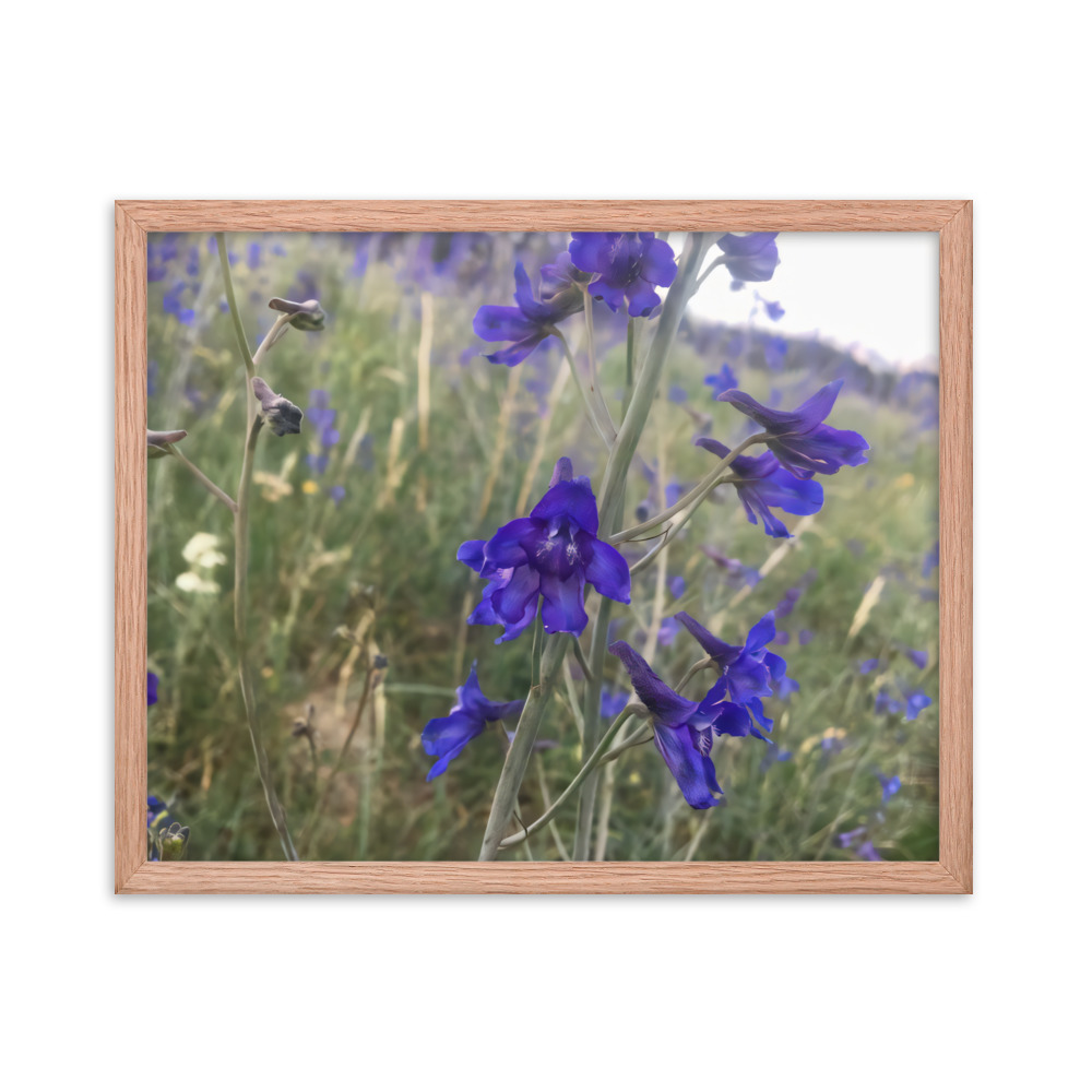 premium-luster-photo-paper-framed-poster-in-red-oak-16x20-transparent-65c2e820c0ffc.jpg