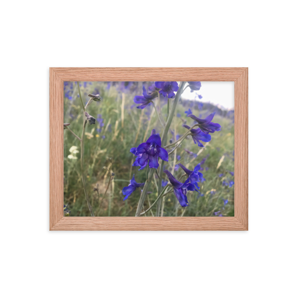 premium-luster-photo-paper-framed-poster-in-red-oak-8x10-transparent-65c2e820c0cce.jpg