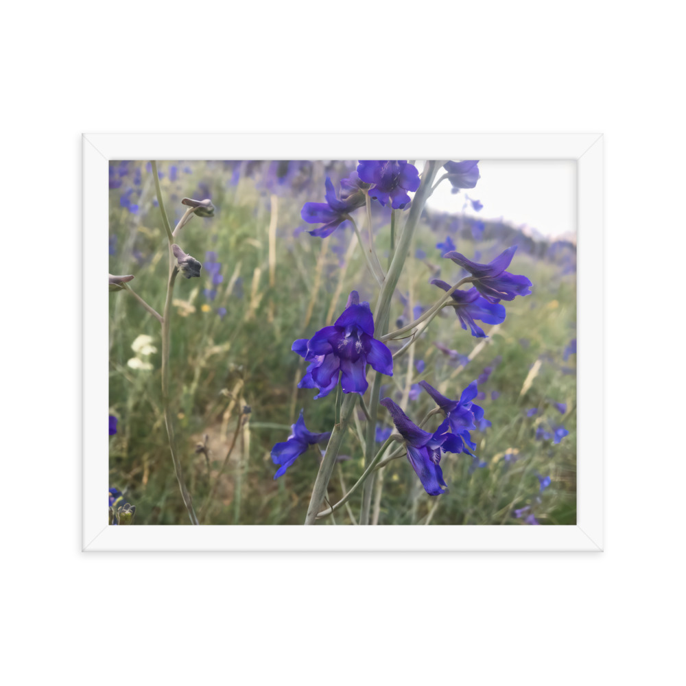 premium-luster-photo-paper-framed-poster-in-white-11x14-transparent-65c2e820c12fc.jpg