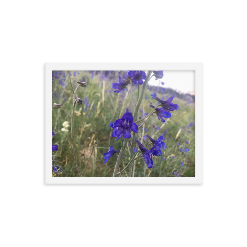 premium-luster-photo-paper-framed-poster-in-white-12x16-transparent-65c2e820c1366.jpg