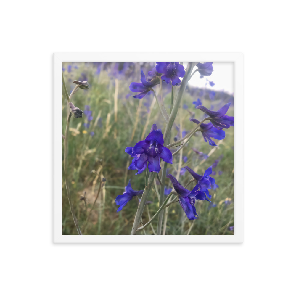 premium-luster-photo-paper-framed-poster-in-white-16x16-transparent-65c2e820c149b.jpg
