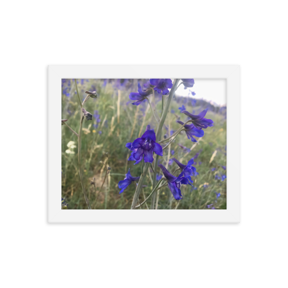 premium-luster-photo-paper-framed-poster-in-white-8x10-transparent-65c2e820c118a.jpg